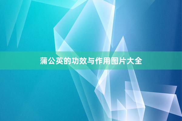蒲公英的功效与作用图片大全